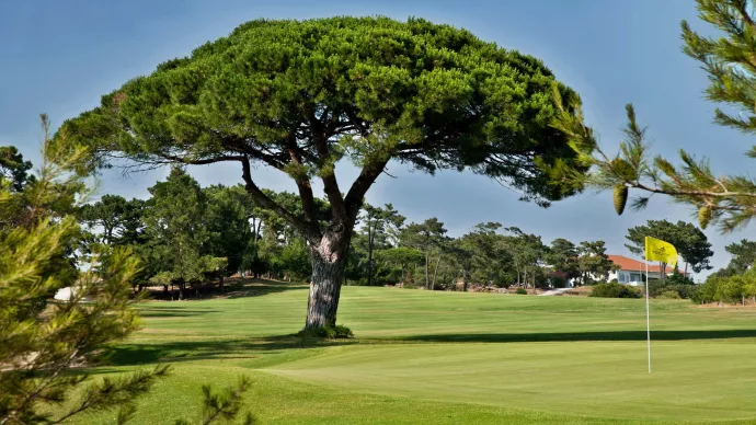 http://www.portugalgolfcourses.info/build/assets/golf-BzQm-30l.jpg