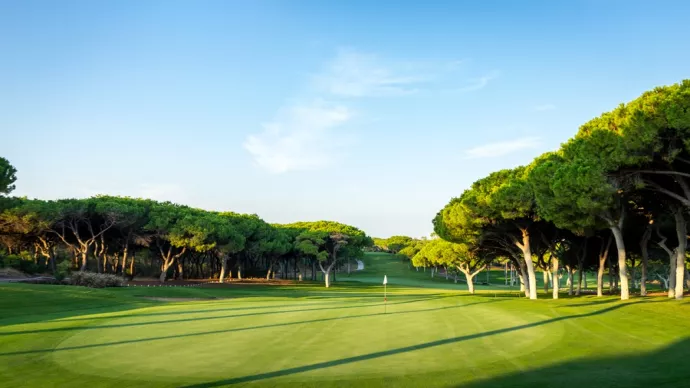 http://www.portugalgolfcourses.info/build/assets/golf-BzQm-30l.jpg