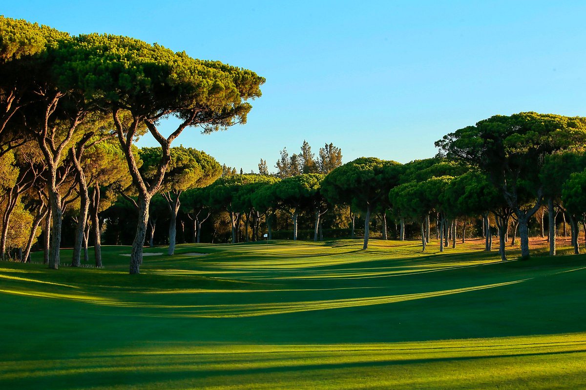 http://www.portugalgolfcourses.info/uploads/golf-courses/Vilamoura_Millennium_Golf_Course_2_WefN5w47V7_20240609115955.jpg