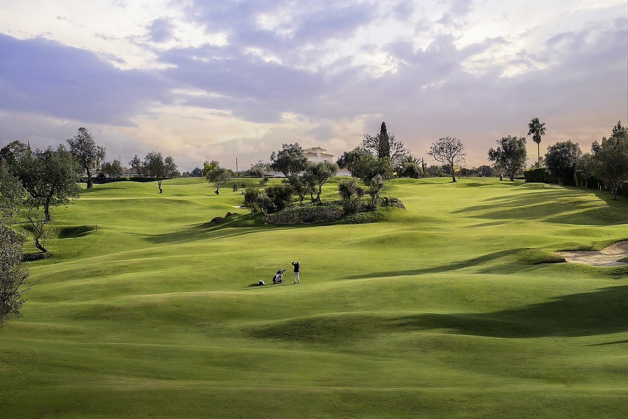 https://www.portugalgolfcourses.info/uploads/golf-courses/Gramacho_Golf_Course_2_QuNNCoxZQs_20240609115147.jpg