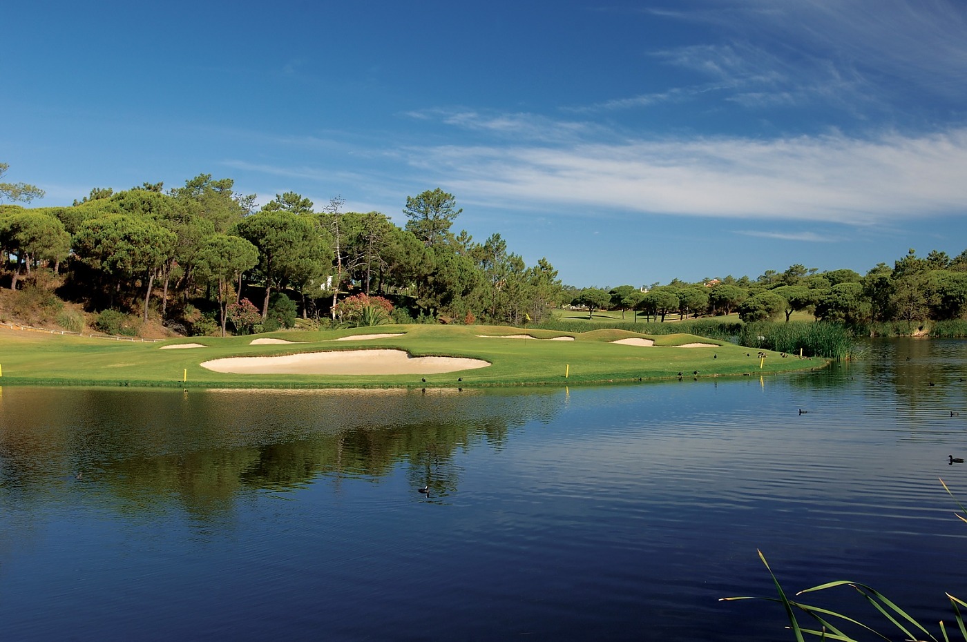https://www.portugalgolfcourses.info/uploads/golf-courses/San_Lorenzo_Golf_Course_QS4mRWFEYe_20240609115609.jpg